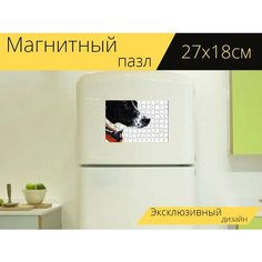 Магнитный пазл "Собака, животное, посмотреть" на холодильник 27 x 18 см. Lots Prints
