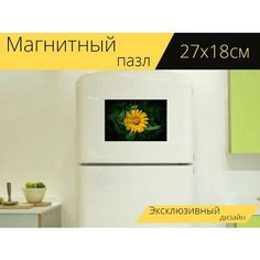 Магнитный пазл "Накидка календулы, цветок, завод" на холодильник 27 x 18 см. Lots Prints