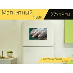 Магнитный пазл "Сельдь, рыбы, глаз" на холодильник 27 x 18 см. Lots Prints