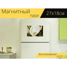 Магнитный пазл "Кала лилия, лили, цветок" на холодильник 27 x 18 см. Lots Prints