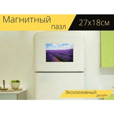 Магнитный пазл "Лаванда, поле, цветы" на холодильник 27 x 18 см. Lots Prints
