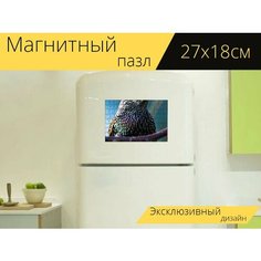 Магнитный пазл "Звезда, птица, перья" на холодильник 27 x 18 см. Lots Prints