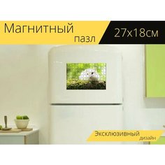 Магнитный пазл "Хомяк, мышь, животные" на холодильник 27 x 18 см. Lots Prints