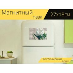 Магнитный пазл "Гиацинт, цветок, расцветает" на холодильник 27 x 18 см. Lots Prints