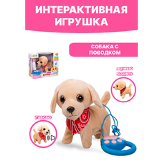 Развивающая интерактивная игрушка Собачка с поводком на батарейках Tong DE