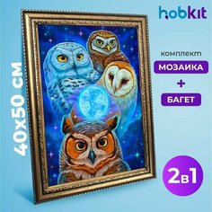 Алмазная мозаика полная выкладка HOBKIT "Совы в полнолунье 40х50+Багет золотой " , 50х40 размер холста,