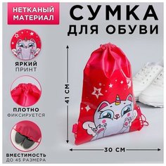 Сумка для обуви «Единокот» Art Fox