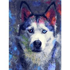 Картина по номерам Хаски 40х50 см Hobby Home