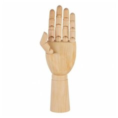 Модель "Рука мужская левая", 30 см Невская палитра