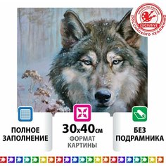 Алмазная мозаика "Волк", 30x40, см, остров сокровищ