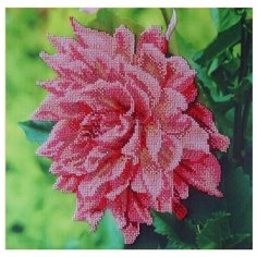 Galla Collection Набор для вышивания бисером Георгин 28 x 26 см (Л315)