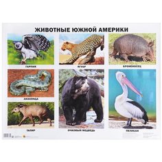 Плакат Проф-Пресс Животные Южной Америки