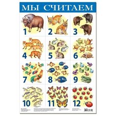 Плакат Дрофа-Медиа Мы считаем №1 1762