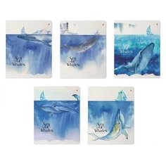 Альт тетрадь Киты.Акварель 7-48-1127, клетка, отсутствует, линейка, 48 л., 1 шт., Рисунок