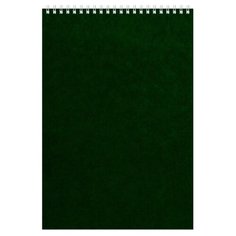 Блокнот Альт Офис 1 А4 60 листов зеленый в клетку на спирали (200х290 мм) 61351