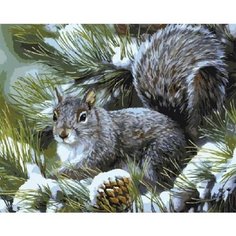 Картина по номерам Серая белочка 40х50 см 000 Art Hobby Home