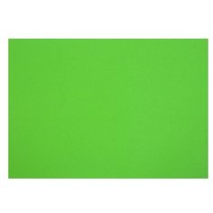 Картон цветной тонированный А2, 200 г/м2, зеленый Лилия Холдинг