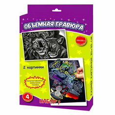 Гравюра объёмная "Бабочки+лев" Ракета