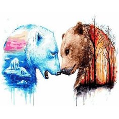 Картина по номерам Две противоположности 40х50 см Hobby Home