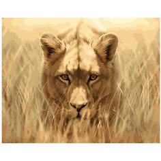 Картина по номерам Выслеживая добычу 40х50 см Hobby Home