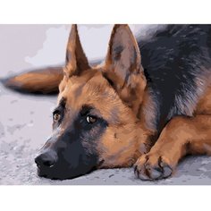 Картина по номерам Ожидание хозяина 40х50 см Hobby Home