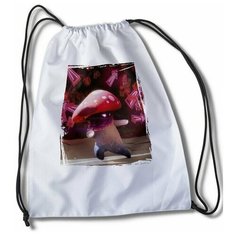 Мешок для сменной обуви с принтом Игры Plants VS Zombies Garden Warfare 2 - 33836 Brut Boxers