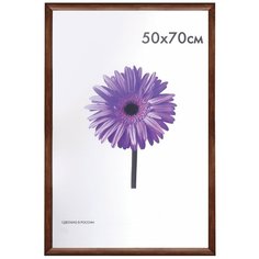 Рамка Самсон премиум 50х70 см, дерево, багет 26 мм, "Berta", орех 0006-50-0006 Samson