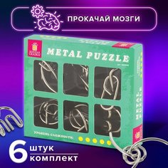 Головоломки металлические золотая сказка (уровень сложности "профи"), набор 6 штук, 662090