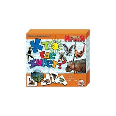 Игра обучающая Учись играя Кто где живет Десятое королевство