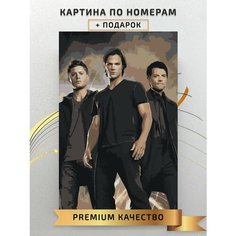 Картина по номерам Сверхъестественное / Supernatural холст на подрамнике 40*60