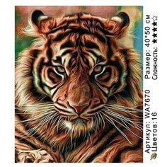 Картины по номерам тигр на подрамнике 40х50см WA7670 Нет бренда