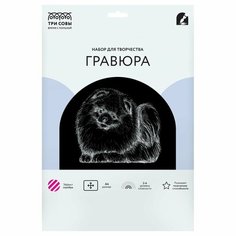 Гравюра с эффектом серебра ТРИ совы "Шпиц", А4