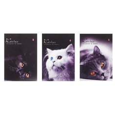 Блокнот А6, 40 листов на скрепке "Котята", микс из 3-х видов./В упаковке шт: 10 Альт