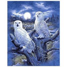 Алмазная мозаика на холсте с подрамником (картина стразами, алмазная вышивка) Белые совы 40x50 см. Boom Boom Shop