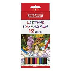 Карандаши цветные 12 цветов Пифагор "Бабочки" (L=176мм, d=3мм, 6гр) картон (181351), 24 уп.