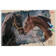 Альбом для рисования А4, 48л Hatber "Ассорти" (100 г/кв. м, спираль, перфорация на отрыв) (48А4Всп), 5шт.