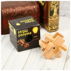 Головоломка деревянная Игры разума «Башня познания» Puzzle