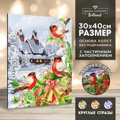 Алмазная мозаика с частичным заполнением "Снегири" 30х40 см, холст, емкость Школа талантов