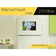 Магнитный пазл "Цветок, ирис, японский" на холодильник 27 x 18 см. Lots Prints