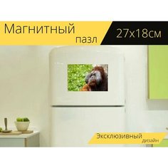 Магнитный пазл "Обезьяна, орангутанг, животное" на холодильник 27 x 18 см. Lots Prints