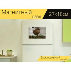 Магнитный пазл "Крапивник, птица, изгородь" на холодильник 27 x 18 см. Lots Prints