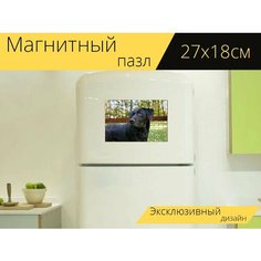 Магнитный пазл "Осенью листвы, собака, лабрадор ретривер" на холодильник 27 x 18 см. Lots Prints