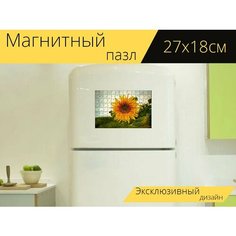 Магнитный пазл "Подсолнухи, цветы, летом" на холодильник 27 x 18 см. Lots Prints