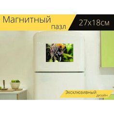 Магнитный пазл "Скаляр, рыбы, вода" на холодильник 27 x 18 см. Lots Prints
