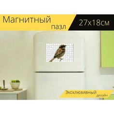 Магнитный пазл "Животное, птица, воробей" на холодильник 27 x 18 см. Lots Prints