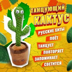 Танцующий и поющий кактус. Интерактивная музыкальная игрушка -повторюшка Без производителя