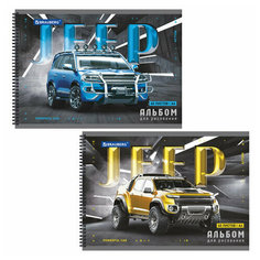 Альбом Unitype д/рис. А4 40л. - (8 шт) Brauberg