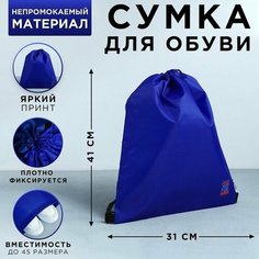 Сумка для обуви «ArtFox study»