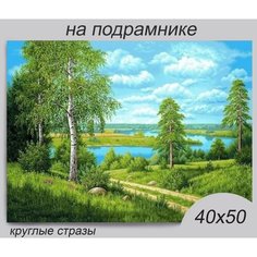 Алмазная мозаика на подрамнике 40*50 см DIY