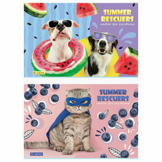 Альбом для рисования 24л, А4, на скрепке ArtSpace "Питомцы. Summer", эконом, 18 штук, 335563 Спейс